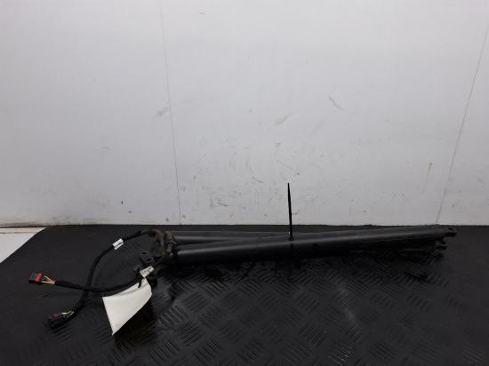 Macan Porsche Macan — Hatch Strut