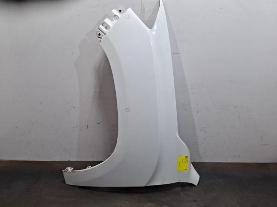 2020 LDV T60 — Left Guard
