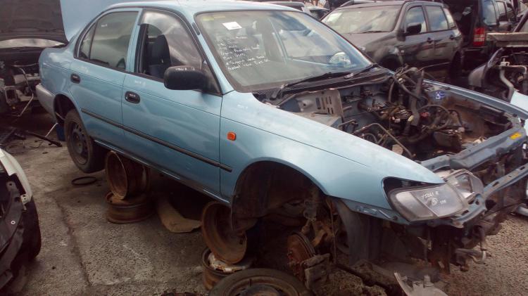 1996 Toyota Corolla — CSI Auto Petrol
