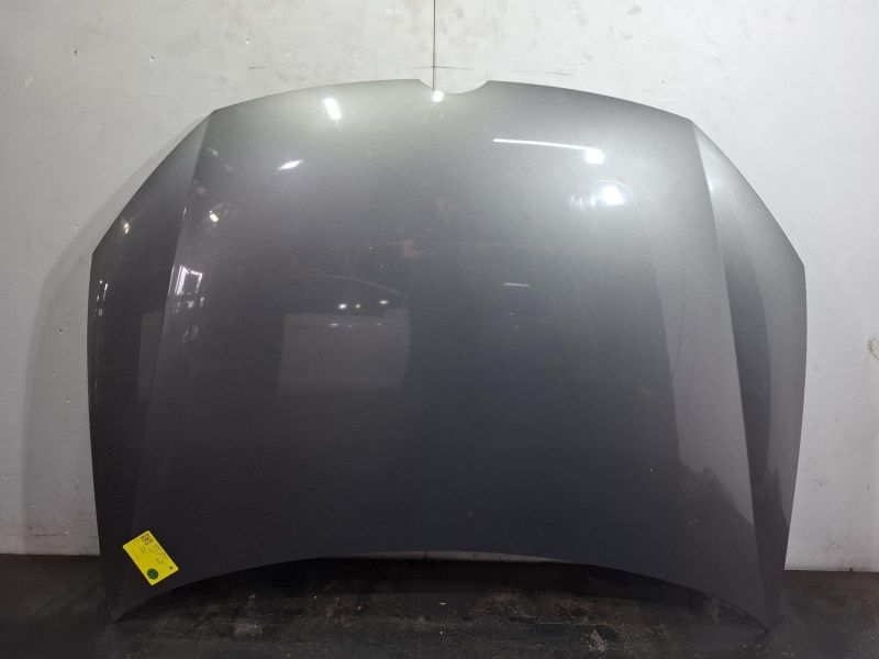 2010 Volkswagen Golf — Bonnet