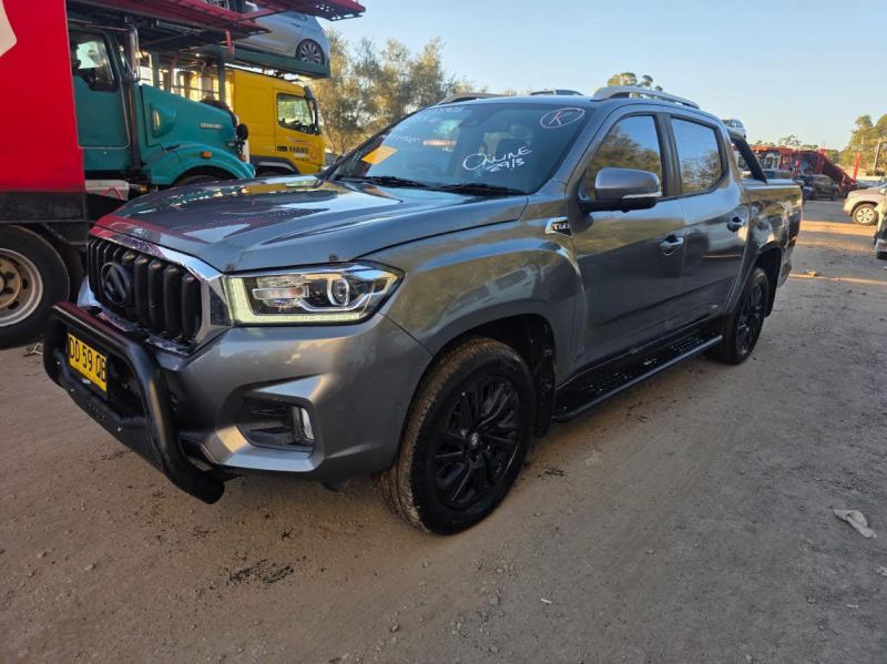 2020 LDV T60 — TRAILRIDER Manual Diesel