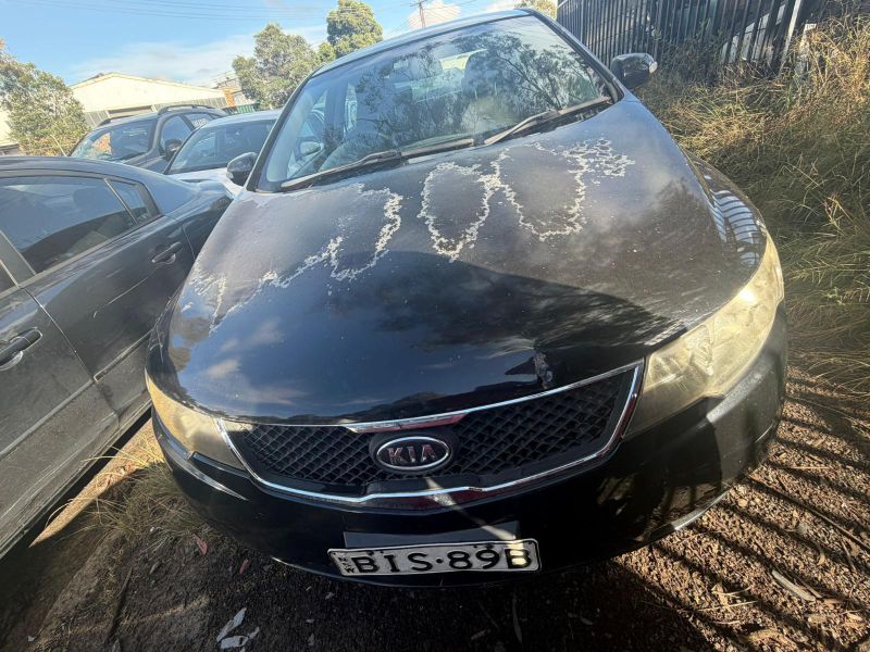 2009 Kia Cerato — Auto Petrol