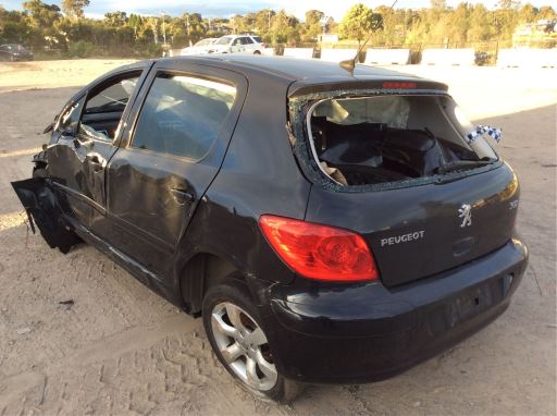 2006 Peugeot 307 — 2.0L EW10A Auto Gas Petrol